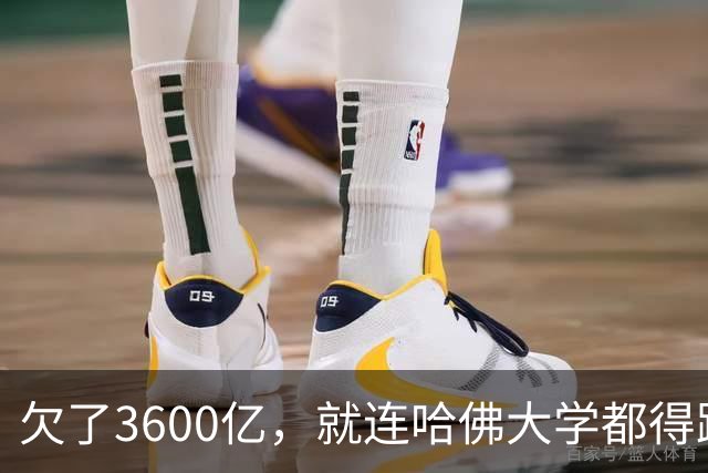 欠了3600亿，就连哈佛大学都得跟着退款
